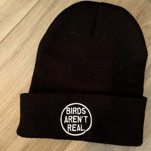 Birds Aren’t Real Black Beanie